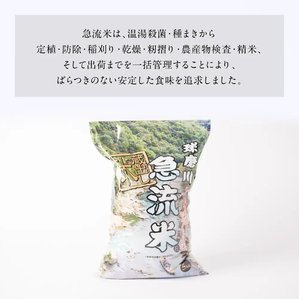 《令和7年産》熊本県八代市産 球磨川急流米 ヒノヒカリ 5kg 国産 白米 精米 お米 コメ 米 ライス ご飯 ごはん 白飯