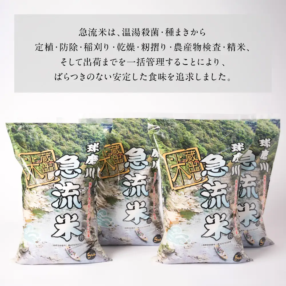 《令和7年産》熊本県八代市産 球磨川急流米 ヒノヒカリ 20kg 国産 白米 精米 お米 コメ 米 ライス ご飯 ごはん 白飯