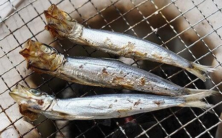職人厳選 ウルメ丸干し小分け（4尾×12袋）鰯 いわし おつまみ 珍味 グルメ 魚 海鮮 ギフト 酒 ビール 日本酒 焼酎 贈り物 国産 愛媛 愛南町 武久海産