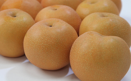 ☆フルーツ王国山形☆白桃 (やわらかくなる桃)・和梨食べ比べセット秀品 3kg【令和8年産先行予約】FS23-852 くだもの 果物 フルーツ 山形 山形県 山形市 2026年産