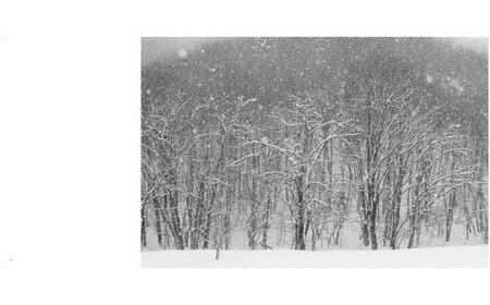 写真家 望月久 モノクロ写真集 「FOREST」～安比高原・八幡平～ ／ 写真 写真集 作品集 風景 自然 モノクロ写真 モノクロ プロ プロカメラマン カメラマン 作品 景色 雪 雪景色 風景写真 安比 安比高原 八幡平 プレゼント 贈り物