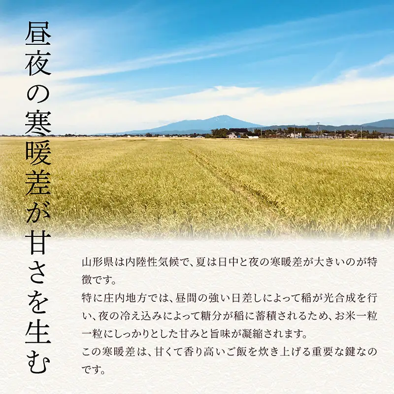 令和7年産　雪若丸 精米 5kg×1袋　庄内観光物産館
