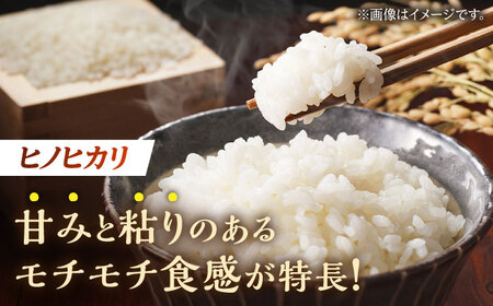 〈令和7年度産米〉ヒノヒカリ 白米 10kg （5kg×2袋）【竹下農園】[ZEL001]