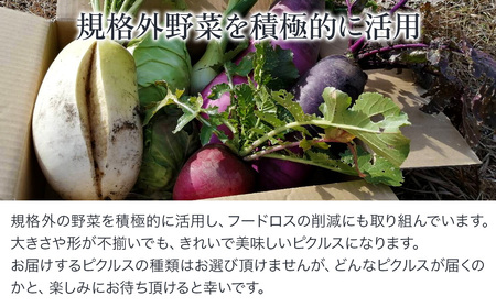 季節野菜のピクルス4本セット (和×2、洋×2) | 旬野菜使用 ピクルス 季節野菜 野菜スティック 野菜 やさい 保存食 非常食 漬物 漬け物 付け合せ 規格外野菜 食品ロス フードロス 大分県産 大分県 中津市