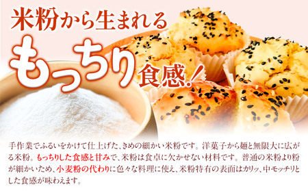 【6ヶ月定期便】ありがとう園の米粉 10kg