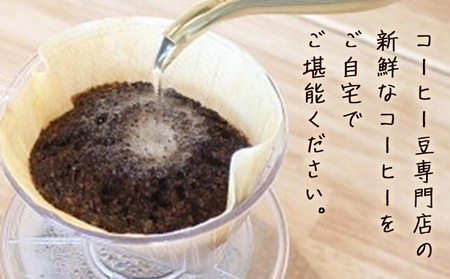コーヒー豆セット セットC 挽き粉 モカ スペシャルブレンド ブラジル (各100g) ユニバース珈琲 《30日以内に出荷予定(土日祝除く)》 コーヒー 豆 セット 飲み比べ【配送不可地域あり】