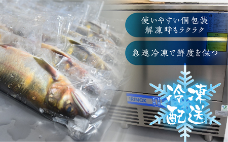 冷凍鮎 3匹 / 天然鮎 鮎