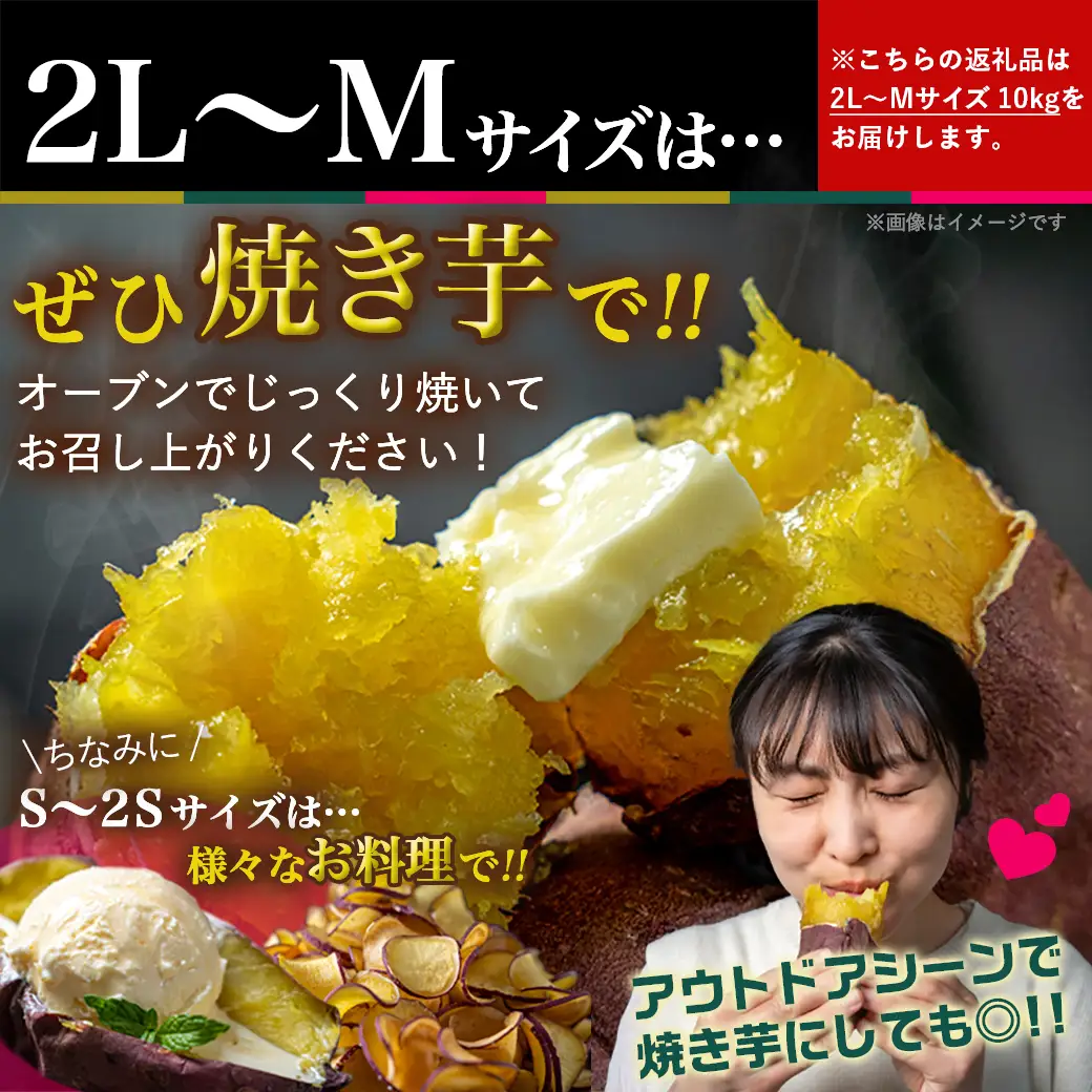 島津甘藷　熟成紅はるか 10kg(2L～M)_12-A701_(都城市) 島津甘藷 紅はるか 10kg サツマイモ 熟成 未選別 2L～M さつまいも 熟成 芋 定番 焼き芋 アウトドア