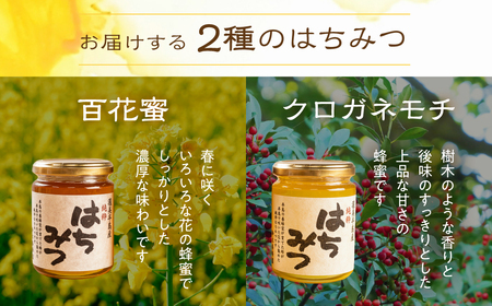 国産 純粋 無添加 完熟 はちみつ 蜂蜜 300g 2種セット 鈴木養蜂園