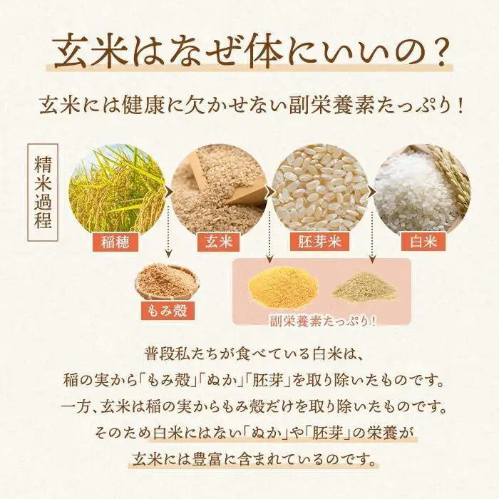 ロウカット玄米6キロ 金芽ロウカット玄米 12kg（2kg×6） 玄米・個包装・東洋ライス・人気