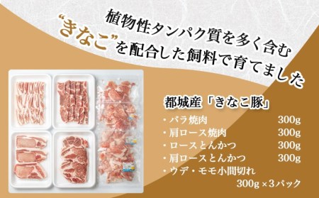 「きなこ豚」焼肉・とんかつセット 計2.1kg_MJ-1204_(都城市) ブランド豚 豚カツ用 トンカツ用(ロース / 肩ロース) 焼き肉用 (豚バラ / 豚肩ロース) 切り落とし 小間切れ