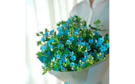 《3ヵ月定期便》 ブルースター 花束 初回花瓶付 延命剤付き