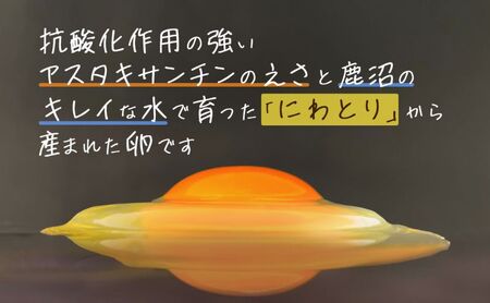 アスタキサンチンたまごちゃん 10個入り×3パック 卵 鶏卵 アスタキサンチン 抗酸化パワー 直売店 絶品 生食 人気 美味しい 話題 卵かけごはん 新鮮 