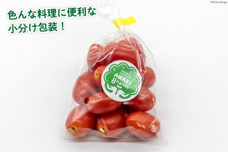 AH068【小分けでうれしい♪】アイコトマト4.8kg（200g×24袋）
