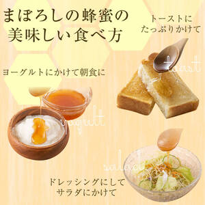 【P51001】国産西洋蜂蜜 生百花蜜(550g) 国産 鹿児島県産 蜂蜜 はちみつ ハチミツ ギフト プレゼント 贈答 家庭用 【芳治養蜂】