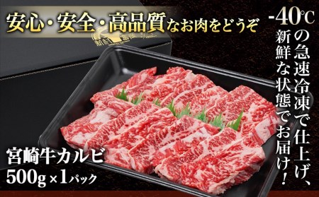 宮崎牛カルビ 500g_18-4205_(都城市) 宮崎牛 牛肉 カルビ 500g 焼肉 BBQ バーベキュー ギフト 贈答用