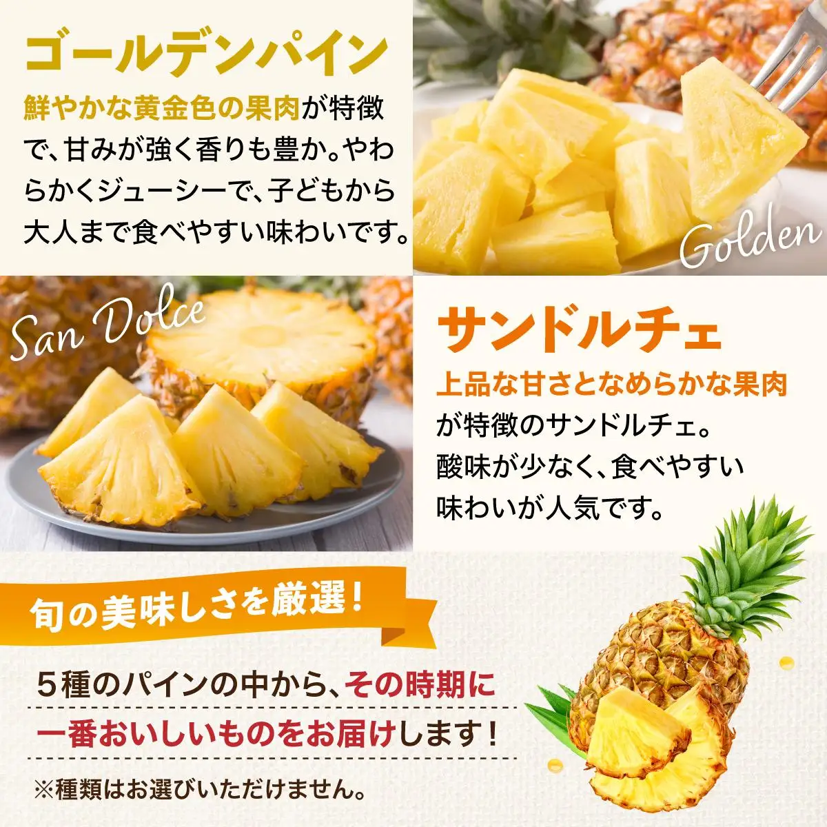 石垣島産パイナップル 2～6個 約3kg  KP-14