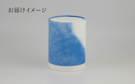【美濃焼】SaiSui Blue（間取藍花）植物付き【大東亜窯業】インテリア 雑貨 観葉植物 多肉植物 サボテン グリーン 水で育てる 省スペース 手軽 簡単 初心者 写真映え かわいい おしゃれ [MAG068]