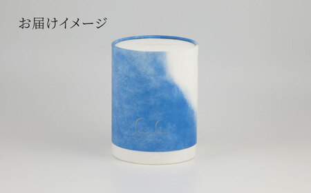 【美濃焼】SaiSui Blue（染果実）植物付き【大東亜窯業】インテリア 雑貨 観葉植物 多肉植物 サボテン グリーン 水で育てる 省スペース 手軽 簡単 初心者 写真映え かわいい おしゃれ [MAG069]
