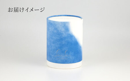 【美濃焼】SaiSui Morocco（Blue＆White）植物付き【大東亜窯業】インテリア 雑貨 観葉植物 多肉植物 サボテン グリーン 水で育てる 省スペース 手軽 簡単 初心者 写真映え かわいい おしゃれ [MAG072]
