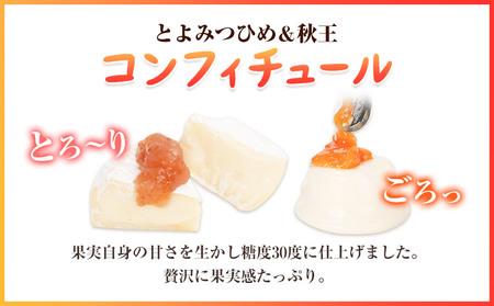 コンフィチュール＆セミドライフルーツ とよみつひめ いのうえ農園 株式会社アジア開発貿易《30日以内に出荷予定(土日祝除く)》福岡県 鞍手郡 鞍手町 ドライフルーツ いちじく イチジク 無花果 フルーツ くだもの 果物 ジャム