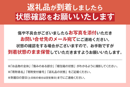 ★先行予約★【産地直送】ズッキーニ　約10本
