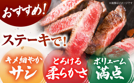 ＜全6回定期便＞佐賀牛サーロインステーキ250ｇ HCS054 ステーキ 牛肉