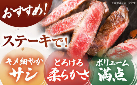 ＜全12回定期便＞佐賀牛サーロインステーキ250ｇ HCS055 ステーキ 牛肉