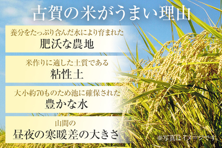 渡さんのこだわり米 1kg 夢つくし 元気つくし にこまる ふくおかエコ農産物認証 米 精米 古賀市産 お取り寄せグルメ お取り寄せ 福岡 お土産 九州 福岡土産 取り寄せ グルメ 福岡県