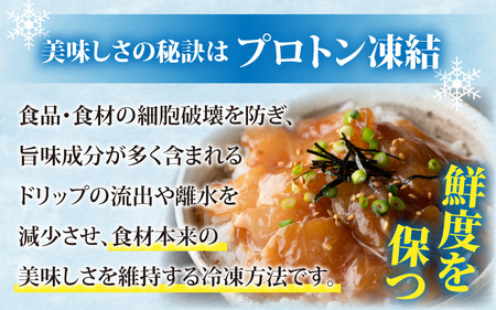 干物屋さんの漬け丼 充実セットミニ【急速冷凍】（プロトン凍結）