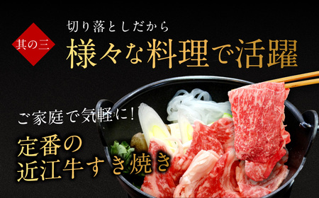 近江牛切り落とし 500ｇ 西川精肉店 滋賀県 東近江市 A-A25 和牛 牛肉 肉 切り落とし 焼肉 すき焼き 炒め物 ギフト お取り寄せ 高級 近江牛