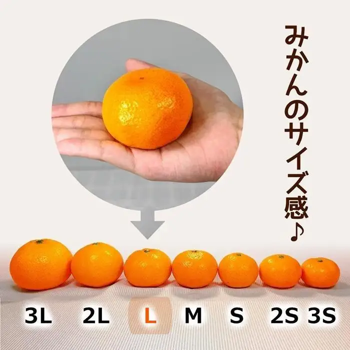 みかん Lサイズ 秀品 箱込 7.5kg (内容量約 6.8kg) 有田みかん 和歌山県産 産地直送 贈答用 ［2026年11月中旬より順次出荷予定］［みかんの会］