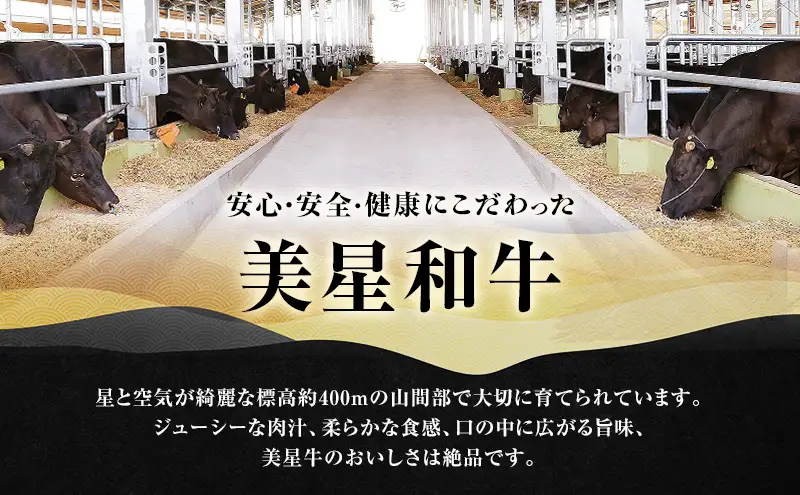 【定期便 3回 隔月で届く】美星和牛 サーロインステーキ 各回約800g（約200g×4枚） 牛肉 岡山県 里庄町 送料無料