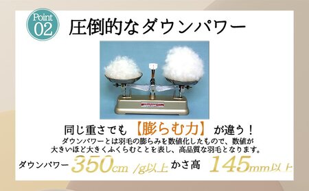 【５色展開】洗える羽毛合い掛け布団シングルダウン90％350dp北欧デザイン羽毛1.2kg洗濯可羽毛布団 寝具  ブルー