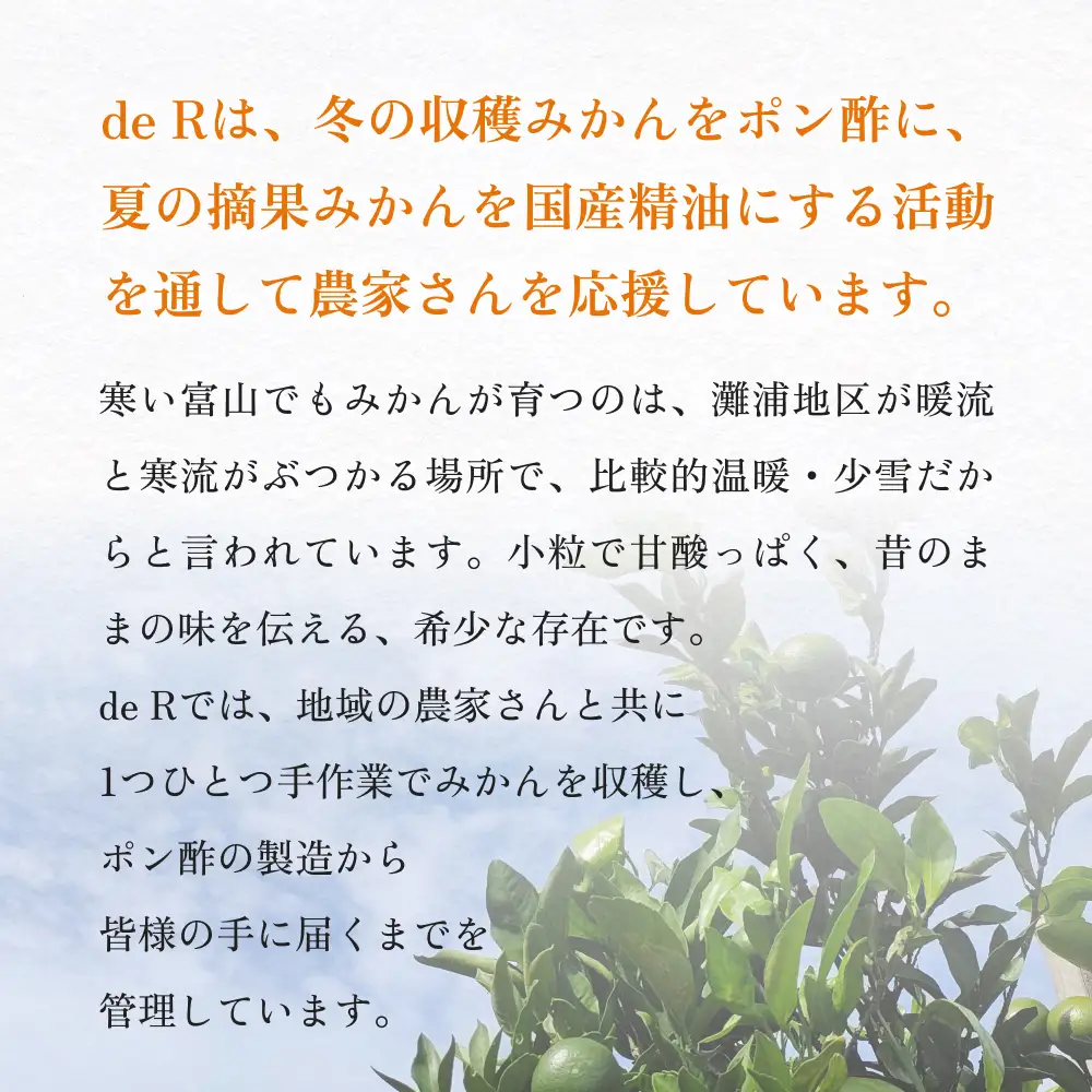 氷見のみかんポン酢 灘浦みかん使用 120mL | ポン酢 食品添加物不使用