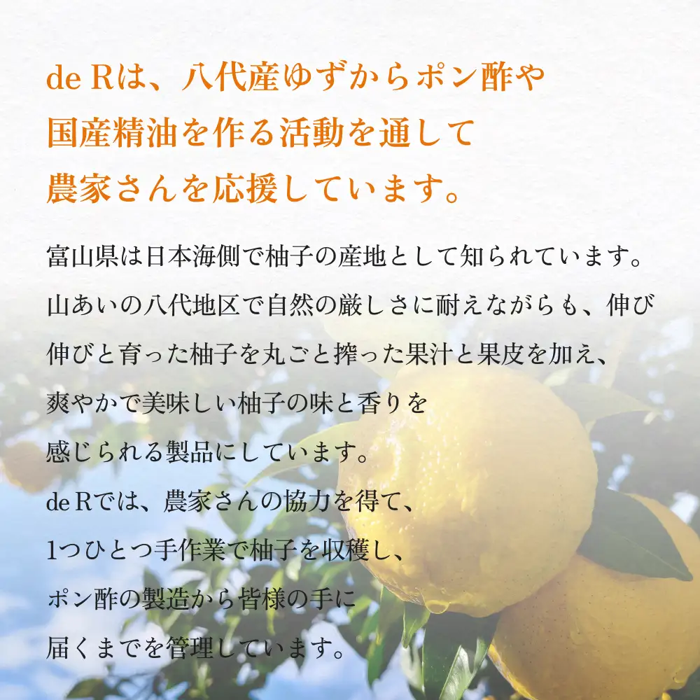 氷見のゆずポン酢 八代ゆず使用 120mL | ゆず ポン酢