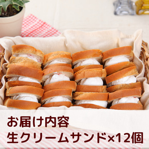 パン工房 カワ の 生クリーム サンド 12個入 / スイーツ パン 洋菓子 お菓子 和歌山 【kwa112-nama-12】