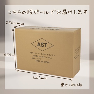 ペーパータオル 49パック (1パック 200枚入り) 再生紙100％ 小判 ハード 硬め エコノミー 丈夫 紙質 日用品 生活用品 消耗品 業務用 家庭用 富士市 【配送不可地域：沖縄本島・離島】 [sf068-011]