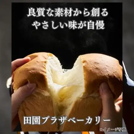 お二人様朝食おすすめセット_ パン  ぱん  卵・乳製品 チーズ  _【配送不可地域：離島・北海道・沖縄県・中国・四国・九州】【1340789】