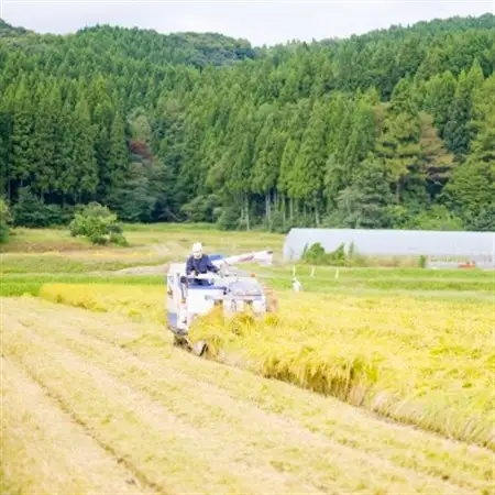 こだわりの味わい詰合せ 山口ファームのお米・手作りとうふ＆厚揚げセット【配送不可地域：離島・北海道・沖縄県】【1301722】