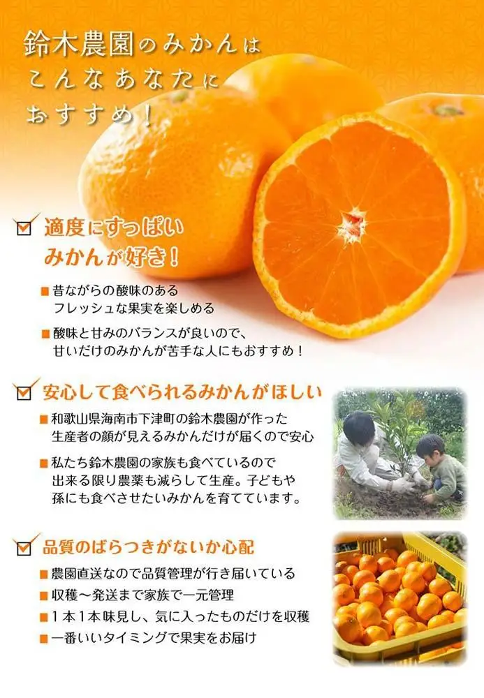 早生みかん 5kg SMLサイズ 和歌山県海南市鈴木農園から直送 早生みかん 贈答