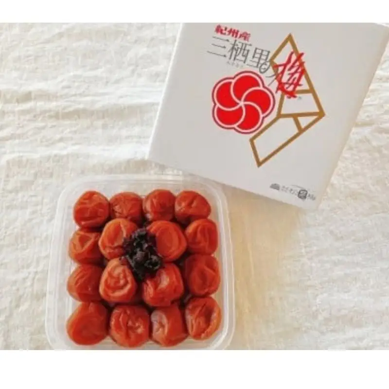 紀州南高梅　三栖里の梅（塩分10%）　500g  / 田辺市 紀州南高梅 南高梅 梅干し 梅干 梅  肉厚 お米 おにぎり 焼酎 梅酒 健康 【ske021-1】