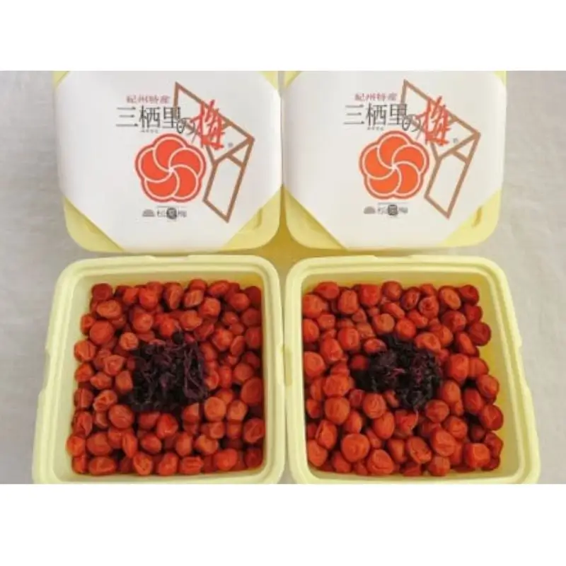 紀州小梅　華（塩分10％）　4kg(2kg×2個） / 田辺市 紀州南高梅 南高梅 梅干し 梅干 梅  肉厚 お米 おにぎり 焼酎 梅酒 健康 小梅 【ske048-2】