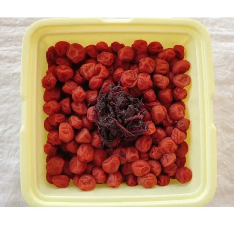 紀州小梅　しそ小梅（塩分13％）　4kg(2kg×2個）  / 田辺市 紀州南高梅 南高梅 梅干し 梅干 梅  肉厚 お米 おにぎり 焼酎 梅酒 健康 小梅 【ske049-2】