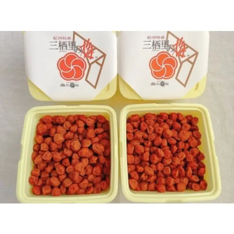  紀州小梅　紀州土用干小梅（塩分20％）　4kg(2kg×2個） / 田辺市 紀州南高梅 南高梅 梅干し 梅干 梅  肉厚 お米 おにぎり 焼酎 梅酒 健康 小梅 【ske050-2】