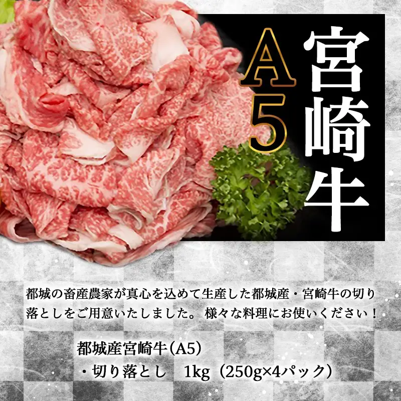 宮崎牛切り落とし(A5) 〔AC-A0-001〕_ (都城市) 牛肉 都城産宮崎牛(A5) 切り落とし 1kg(250g×4パック) 『内閣総理大臣賞』を受賞した生産者のお肉です！ ブランド牛 国産黒毛和牛 霜降り 切落し合計1キロ すき焼き・しゃぶしゃぶに A5等級