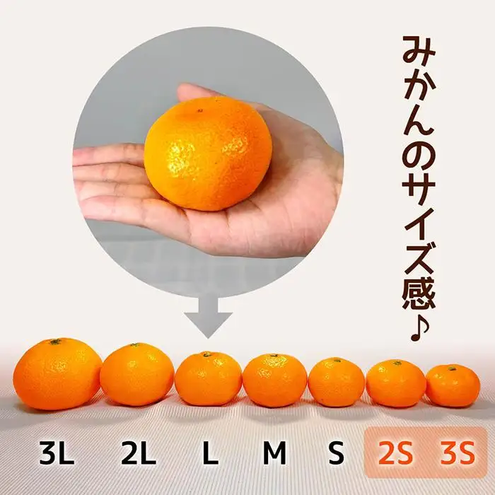 みかん とにかく小玉 箱込 5kg (内容量約 4.4kg) 2Sサイズ以下 秀品 優品 混合 有田みかん 和歌山県産 産地直送 家庭用 ［2026年11月中旬頃より順次出荷予定］［みかんの会］　