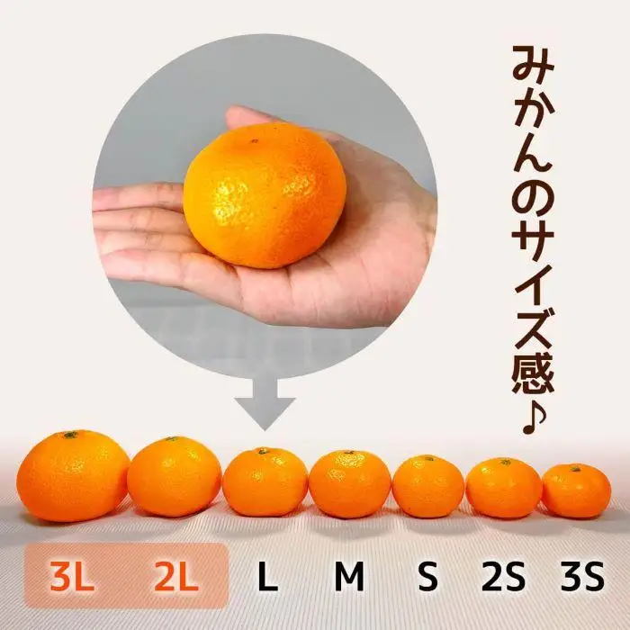 みかん 大玉 どっこいしょ 箱込 10kg ( 内容量約 9.2kg ) 2Lサイズ以上 秀品 優品 混合 有田みかん 和歌山県産 産地直送 家庭用［2026年11月中旬より順次出荷予定］［みかんの会］