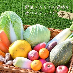 あぐりん村の新鮮野菜宅配BOX 常温配送期間［ 新鮮野菜 宅配BOX 詰め合わせ クール便 季節野菜 健康 ヘルシー 人気 おすすめ ギフト プレゼント お取り寄せ 通販 送料無料 ふるさと納税 ］