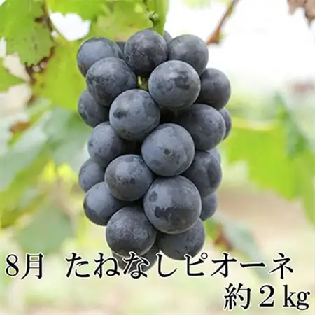 【発送月固定定期便】和歌山の夏の人気フルーツ定期便 全3回【配送不可地域：離島・北海道・沖縄県】【4004345】
